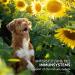Aniforte Bladder Formula for Dogs - 100g | Supports Bladder Function & Reduces Urine Loss - Buy Online on SooperMarket.com