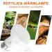 Repti Home 50W Reptile Heating Lamp 2-Pack | Ideal for Bearded Dragons Turtles Snakes & More - International Shipping - Buy Online on SooperMarket.com