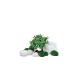 Biorb 55025 Decor Set 15l Winter - Aquaria decoration with realistic artificial aquatic plants roots and stones for beautiful aquari design - for fresh water and sea water Winter 15 liters