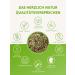 Buy Organic Horsetail Herb Tea 250g - 100% Pure Field Horsetail Loose & Cut Herbal Tea | International Shipping Available - Buy Online on SooperMarket.com