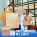 36pc Dry Ice Packs for Shipping - Reusable Cold Shipping Packaging for Frozen Food & Drinks - Bulk Dry Ice Sheets for Coolers - 4.33in x 7.3in - Buy Online on SooperMarket.com