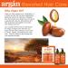 Difeel Elevated Argan Conditioner 33.8 oz | Paraben Free Natural Hair Conditioner with Argan Oil - Shop Internationally - Buy Online on SooperMarket.com