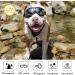 Tsathoggua Dog Goggles Dog Sunglasses with Elastic Strap UV Pet Goggles Protect Dog's Eyes for UV Wind Dust and Fog Medium/Large Breed - Buy Online on SooperMarket.com