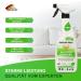 Golden Bull Upholstery Cleaner - Vegan Chemical-Free Stain Remover for Sofa & Auto - 500ml Natural Upholstered Furniture & Car Seat Cleaner - Buy Online on SooperMarket.com