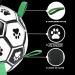 Black Rhino I Super Robust Dog Ball - Durable Interactive Dog Toys for Fetch Pull & Water Play - Available in White Green Black - Buy Online on SooperMarket.com