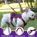 Multi-Purpose Dog Harness & Leash Set | Anti-Train Safety for Small & Medium Dogs (Yellow Size S) - Buy Online on SooperMarket.com