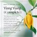 Nikura Ylang Ylang (Complete) 10ml Essential Oil - Vegan 100% Pure | Aromatherapy Diffuser, Hair & Bath Use - Buy Online on SooperMarket.com