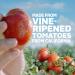 Hunt's Whole Peeled Plum Tomatoes 14.5 oz - 12 Pack | Premium Quality Tomatoes - Buy Online on SooperMarket.com