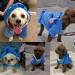 Gimilife Dog Hoodie Xmas Pajamas | Pet Costume for Small Medium Large Dogs and Cats | Disney Stitch Cartoon Halloween & Winter Outfit - 2XL - Buy Online on SooperMarket.com