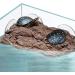 hisunfarm Turtle Floating Basking Platform Aquarium Decorations Decor Artificial Bark with Suction Cups for Tortoise Climbing Platform Resting Terrace Step (Rock Brown) - Buy Online on SooperMarket.com