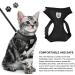 Buy Nizirioo Cat Harness & 2 Safe Cat Dishes - Stylish Black Set for Small Medium Pets - Buy Online on SooperMarket.com