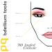 Bdellium Tools Pink Bambu 769 Angled Contour Brush - Professional Makeup Brush with Soft Synthetic Fibers for Perfect Contouring - 1pc International Shipping Available - Buy Online on SooperMarket.com