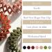 Sizobi 7Pcs Bird Nest Hair Clip Set for Women - Zabernim Hair Accessories | Bird Nest Hair Holder for Ponytails - Buy Online on SooperMarket.com
