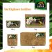 Buy Terra Exotica Sphagnum Moss (3x1 Kg) - Premium Peat Moss for Garden Houseplants & Terrariums - International Shipping Available - Buy Online on SooperMarket.com