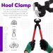 Swpeet 8pcs Professional Farrier Tool Kit - Hoof Trimmer Scissors Cutter Rasp Pliers & Roll Pack for Horses | International Shipping Available - Buy Online on SooperMarket.com