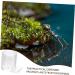 DOITOOL Pet Water Feeder Ant Watering Cup Ant Nest Entrance Feeder Ant Bowl Feeding Tray Automatic - Buy Online on SooperMarket.com