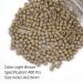 Vlasy 400 Pcs Silicone Micro Rings for I Tip Hair Extensions 4mm Micro Nano Beads Micro Links Hair Beads (Light Brown) Micro-4mm-400Pcs Light Brown - Buy Online on SooperMarket.com