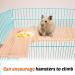 4-Piece Hamster Accessories Set | Hamster Pedal & Jumping Board with 3 Balls | Ideal for Guinea Pigs Chinchillas and Rabbits - Buy Online on SooperMarket.com