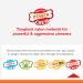 Nylabone Dura Chew Beef Jerky Power Chew - XL Chewing Bones for Heavy Chewers (Pack of 2) - Ideal for Dogs up to 23 kg - Multi-Colored - Buy Online on SooperMarket.com
