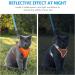 Escape-Proof Cat Harness and Leash Set - Reflective Vest for Small Cats | XXS Orange - Buy Online on SooperMarket.com