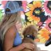 Black Rhino Comfort Collar - Super Soft Neoprene Dog Collar for All Breeds | Adjustable Reflective & Weatherproof | Medium Sports Blue/Gray - Buy Online on SooperMarket.com