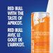Red Bull Energy Drink Apricot-Strawberry 250ml (4 pack) Apricot Strawberry - Buy Online on SooperMarket.com