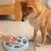 Dog Food Puzzle Feeder Toy for IQ Training & Enrichment - Blue - Buy Online on SooperMarket.com