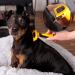 Premium LionTo Undercoat Brush for Dogs | Dog Grooming Comb & Narrow Undercoat Brush - Buy Online on SooperMarket.com