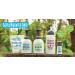 Scrubbingtons Pit Stop Childrens Natural First Deodorant Kids Deodorant for Boys and Girls Quick Drying Kids Deodorant Aluminium and Alcohol Free Suitable for Sensitive Skin 2 x 50ml 50 ml (Pack of 2) - Buy Online on SooperMarket.com