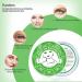 DELISOUL Collagen Under Eye Patches - Seaweed Eye Mask for Dark Circles & Puffiness - Anti Wrinkle Eye Gel Treatment for Puffy Eyes & Under Eye Bags - Improve & Firm Eye Skin - Buy Online on SooperMarket.com