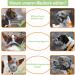 Breathable Mesh Dog Muzzle - Adjustable for Small Medium & Large Breeds | Prevents Biting Chewing & Barking - Gray XS - Buy Online on SooperMarket.com