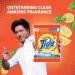 Tide Plus Detergent Washing Powder with Extra Power Lemon and Mint Pack - 500 g + SCOOPER - Buy Online on SooperMarket.com