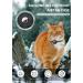 Reflective AirTag Cat Neck Band with Bell | Lightweight Tracker Collars for Kittens & Young Cats - Black - Buy Online on SooperMarket.com
