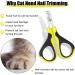 Draftor Pet Nail Clipper Professional Cat Nail Clippers Claw Trimmer Nail Clippers for Dogs Kittens Puppies Hamsters Rabbits and Any Small Pet - Buy Online on SooperMarket.com