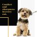 Sharf Gold Touch Pet Scissors - 8.5 Straight Shears for Dog & Pet Grooming - 440c Japanese Stainless Steel - Buy Online on SooperMarket.com