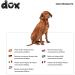Ddoxx Reflective Nylon Dog Leash - Bite-Proof & Stable Roll Lock System | 5m for Dogs Up to 20kg - Blue - Buy Online on SooperMarket.com