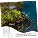 Didiseaon Pet Water Feeder Ant Nest Water Feeder Ants Feeding Device Ants Waterer Ant Feeder Climbing Pet Food - Buy Online on SooperMarket.com