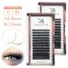 Dassen Easy Fan Volume Lashes 0.07 DD Curl - Mix8-15 | Long Lasting 2D to 10D Blooming Lashes - Buy Online on SooperMarket.com