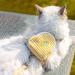 Escape-Proof Cat Harness Set for Walking Adjustable cat traction rope with backpack Kitten Harness&Lead Set Outdoor Walking Vest for Cute Cats and Small Dogs Yellow S - Buy Online on SooperMarket.com