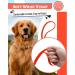 Looxmeer Rubberized Tow Lines for Dogs - 3m/5m/7m/10m/15m/20m/30m Leash | Durable Neon Orange Leash for Small & Medium-Sized Dogs - Buy Online on SooperMarket.com