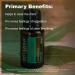 doTERRA Eucalyptus Radiata Essential Oil - 15 mL | Pure & Natural Aromatherapy - Buy Online on SooperMarket.com