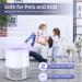 Buy YZ-Hui-B2 UV Mosquito Lamp & Insect Destroyer - Portable USB Fly Trap for Home & Camping - Effective Mosquito Protection - Buy Online on SooperMarket.com