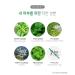 Mint Pore Korean Face Wash Cleansing Foam - Acne Prone Skin Facial Cleanser 130g | Kwailnara - Buy Online on SooperMarket.com