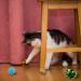 QUOZUO 32-Piece Cat Toy Variety Pack - Best Cat Toys for Kittens & Cats | International Shipping Available - Buy Online on SooperMarket.com