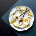 Serving Plates Creative Dinner Plates Lemon Irregular Flat Dinner Steak Salad Plate Snack Plate Household Vegetable Plate Cake Dish Home Kitchen Tableware for Appetizer Dinner and Desserts (Color : 8 Inch - Buy Online on SooperMarket.com