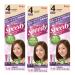 Bigen Speedy Conditioning Color Refill: 4 Chestnut - 3 Pack