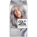 L'Or al Paris Colorista Permanent Gel Hair Dye Long-Lasting and Vibrant At-Home Hair Colour High-Intensity Hues with Up to 3x More Shine Colour: Silver Grey
