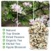 Organic Apple Blossom Flower Tea - Anti-Acne & Freckles | 50g Dried Loose Tea - Buy Online on SooperMarket.com