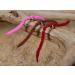 Mustad Signature Fly Hooks Nymph Fly Assortment - 57 Fishing Flies in Various Sizes - Buy Online on SooperMarket.com