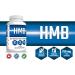 Pro Line HMB Capsules | 3000mg HMB (Beta-Hydroxy Beta-Methylbutyrate) 750mg Per Capsule | HMB Leucine Supplement for Muscle Growth Recovery Muscle Soreness Strength | 120 Capsules (Pack of 2) 120 count (Pack of 2) - Buy Online on SooperMarket.com